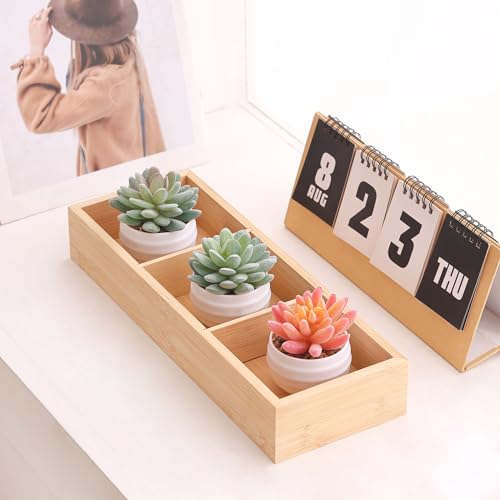 Artificial Faux Succulents in Pots Fake Plants Ceramic Arrangement Planter D665702