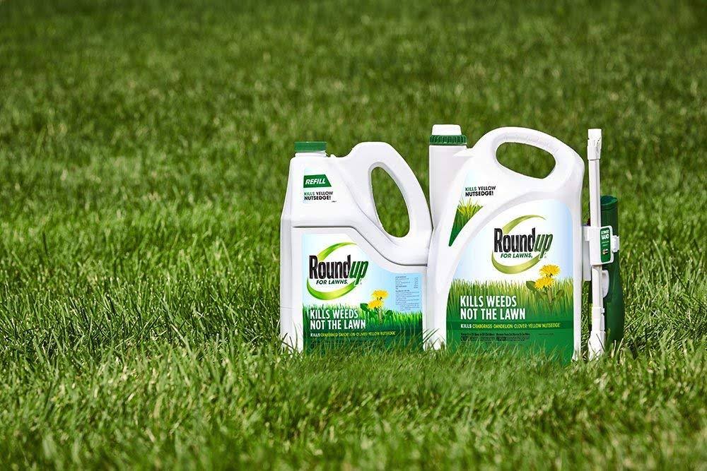 1.25 Gallon Roundup for Lawns Q473963