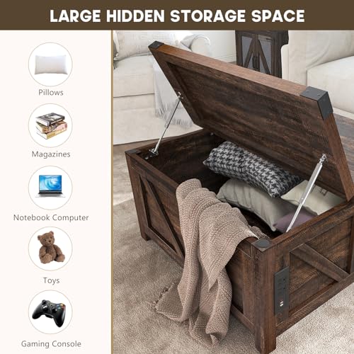 Brown Wood Lift Top Coffee Table with Storage and USB Port R611