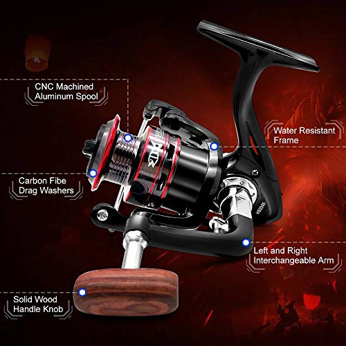 Ultralight Spinning Reel, 5.2:1 Gear Ratio, 12 Ball Bearings, Carbon Fiber Drag L45752