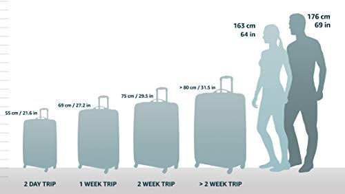 Artic Pink Hardside Luggage with Spinner Wheels, Carry-On 20-Inch V95773