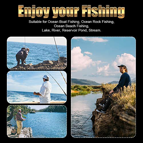 Ultralight Spinning Reel, 5.2:1 Gear Ratio, 12 Ball Bearings, Carbon Fiber Drag L45752