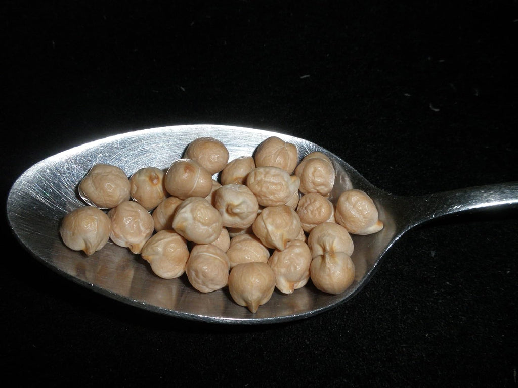 USDA Certified Organic Dried Garbanzo Beans, 5 Pounds L700