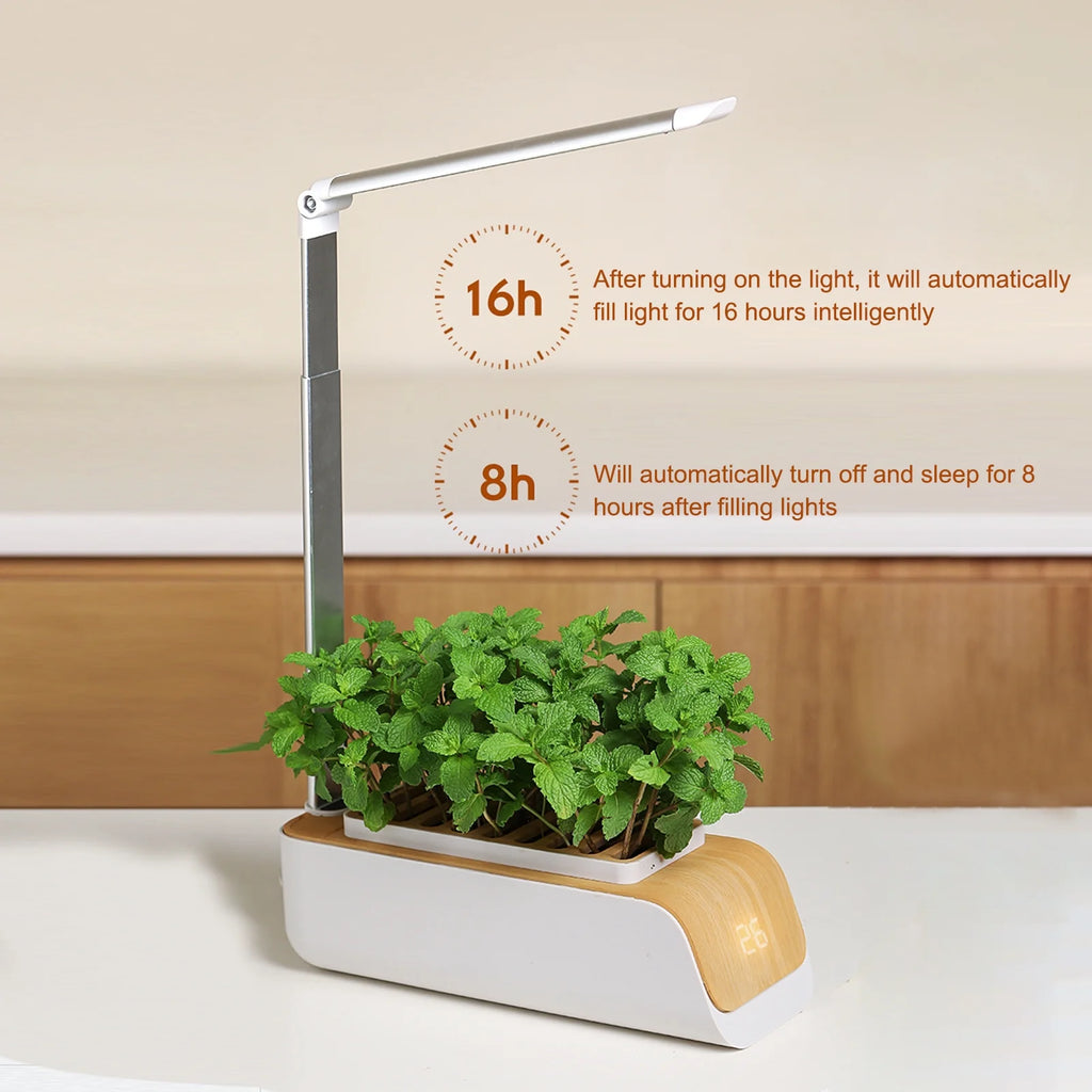 Indoor Herb Garden Kit with Grow Light K489499