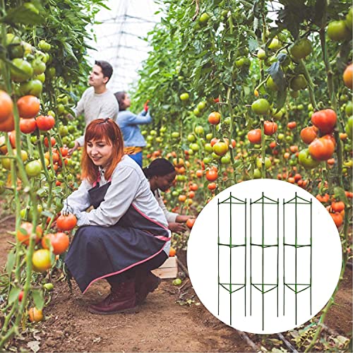 3 Packs Deformable 48inch Tomato Cages Plant Supports S3147
