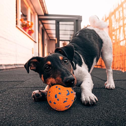 Interactive Tennis Fetch Ball Toy for Dogs W931
