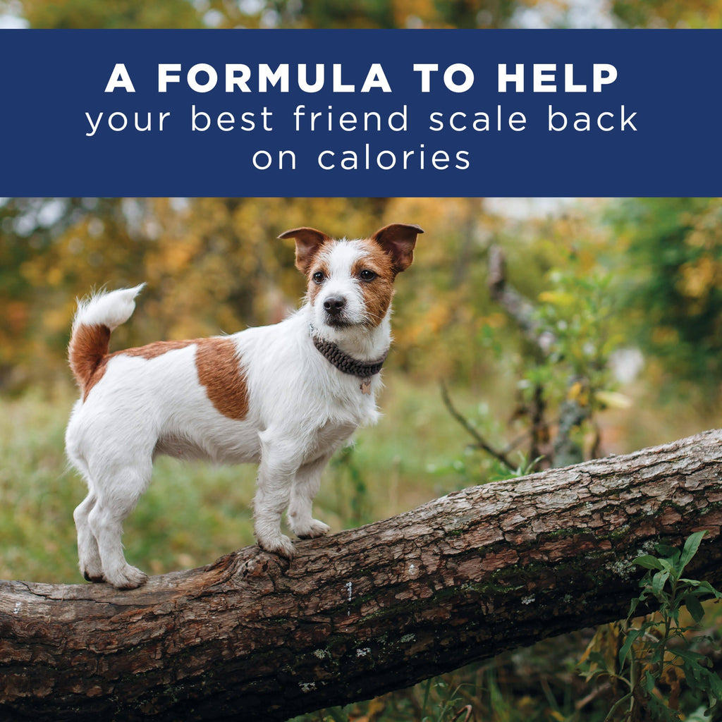 28 lb Chicken Meal Salmon Meal Barley Formula Dog Food R455