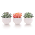 Artificial Faux Succulents in Pots Fake Plants Ceramic Arrangement Planter D665702
