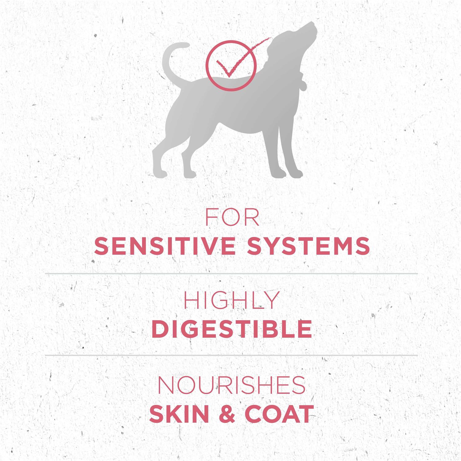 Dry Dog Food Q816