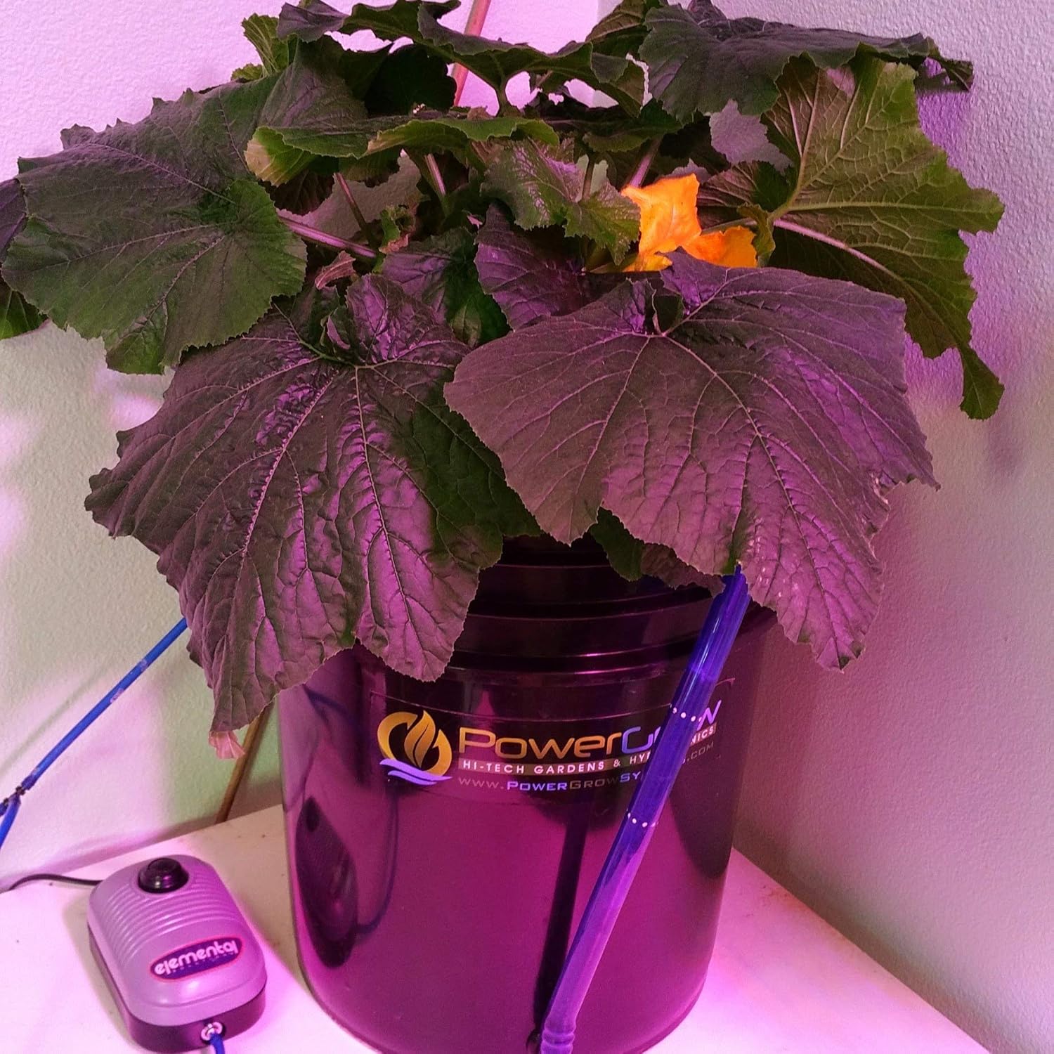 6 inch 5 Gallon Hydroponic Bucket Kit S8280
