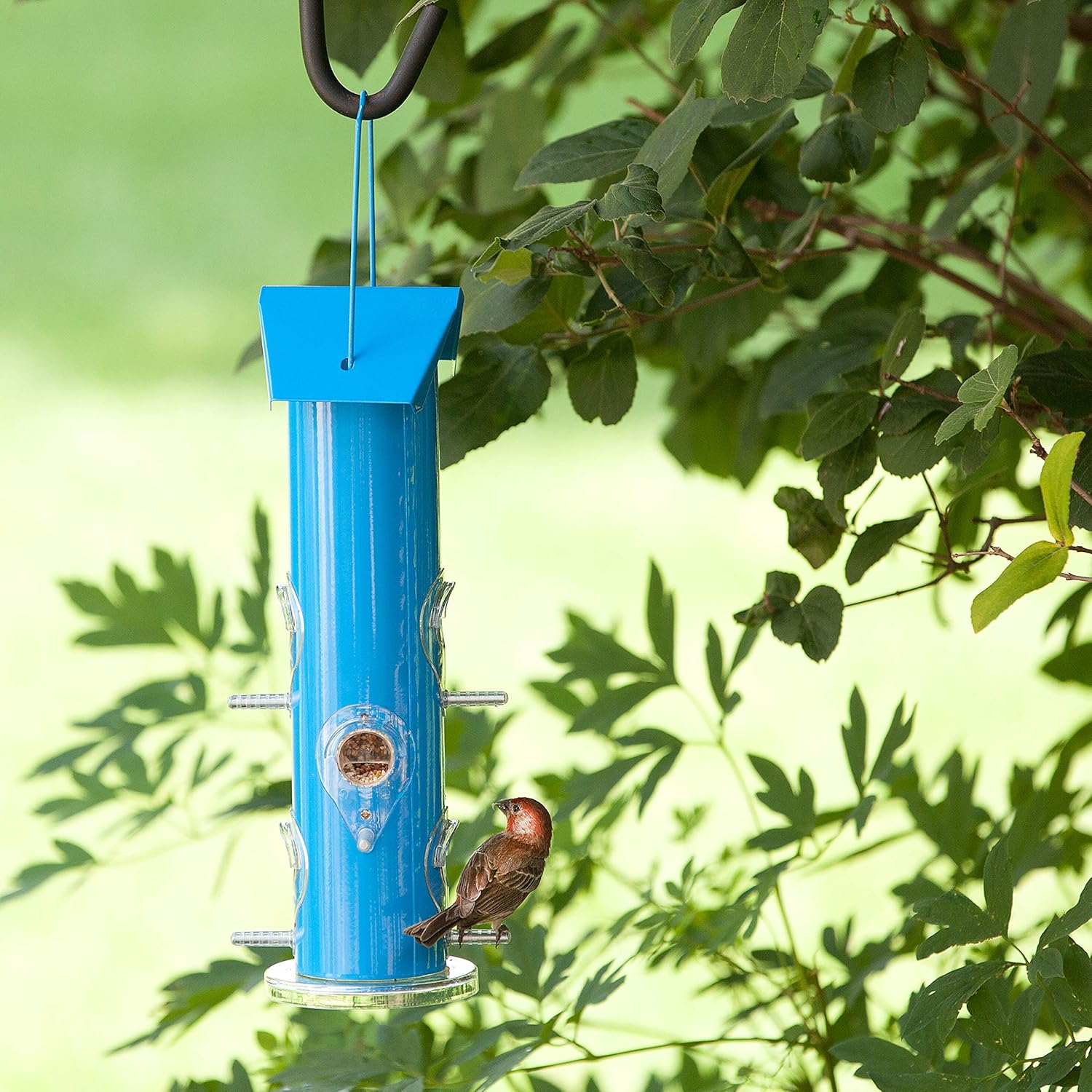 Blue Metal Tube Wild Bird Feeder I2522