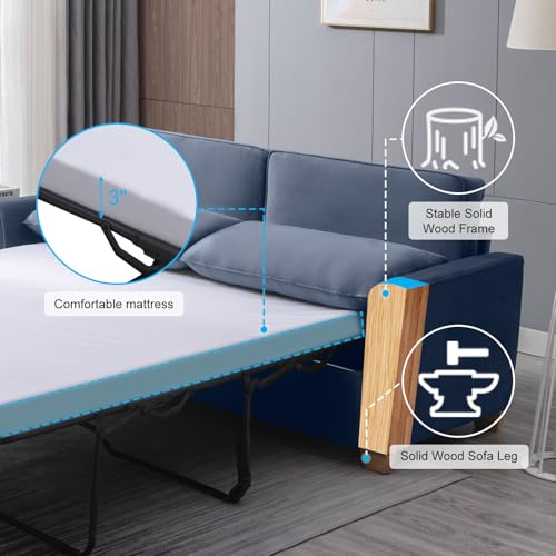 Queen Sleeper Sofa with Pullout Bed and Foam Mattress C296