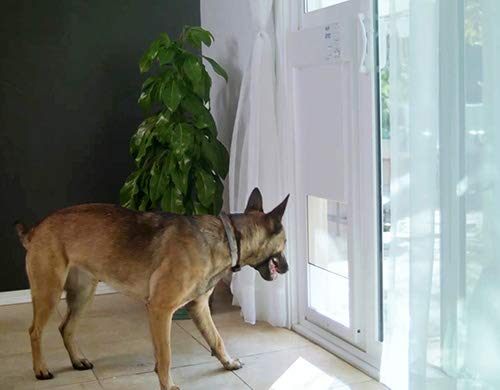 Large Electronic Dog Door for Patio Doors Z848