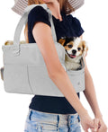 Soft-Sided Dog Carrier with Six Pockets J749763