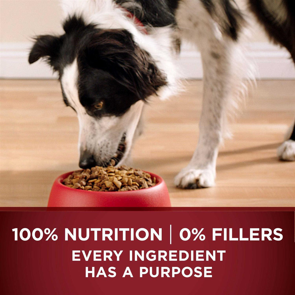 Dry Dog Food H8556