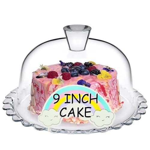 Glass Cake Stand with Dome 10 inch Serving Platter I948989