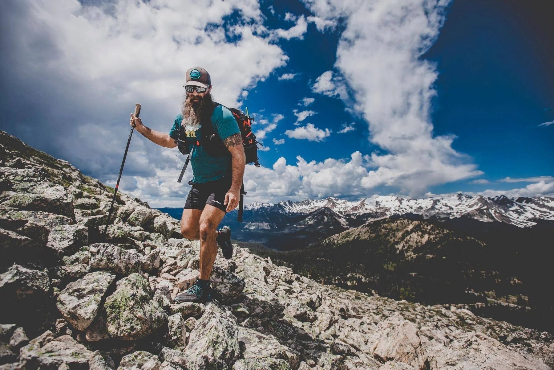 Carbon Trekking Pole A625454