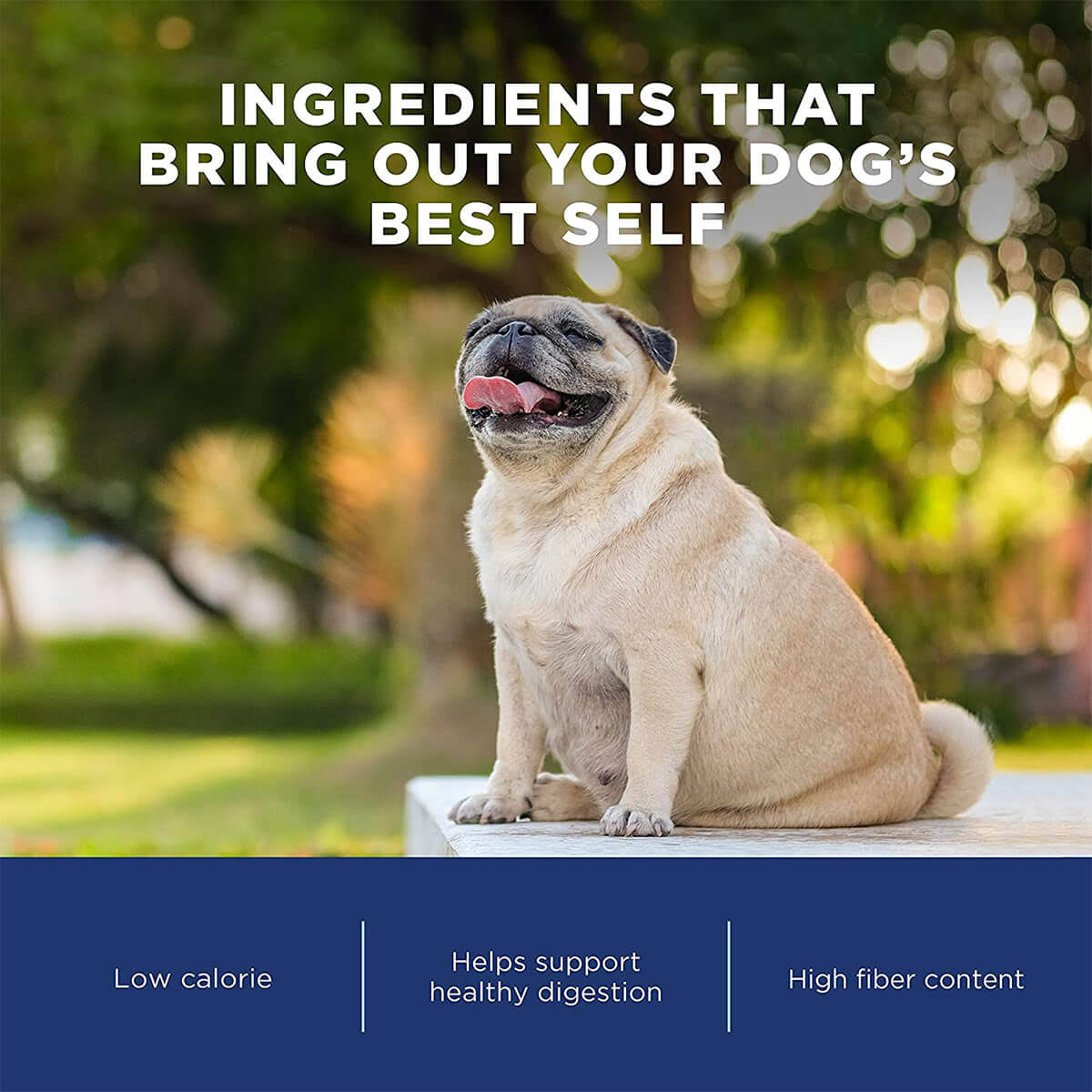 28 lb Chicken Meal Salmon Meal Barley Formula Dog Food R455