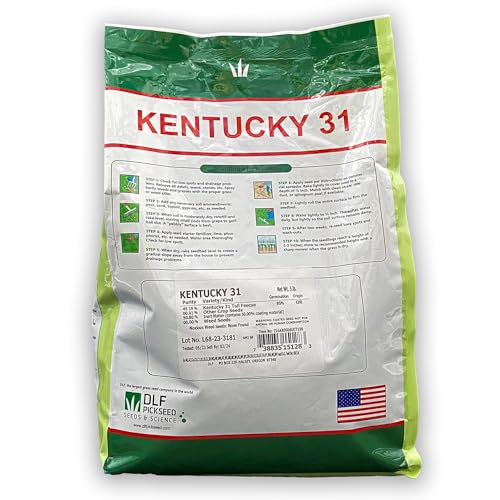 Kentucky 31 Tall Fescue Grass Seed 5 lb Bag P489