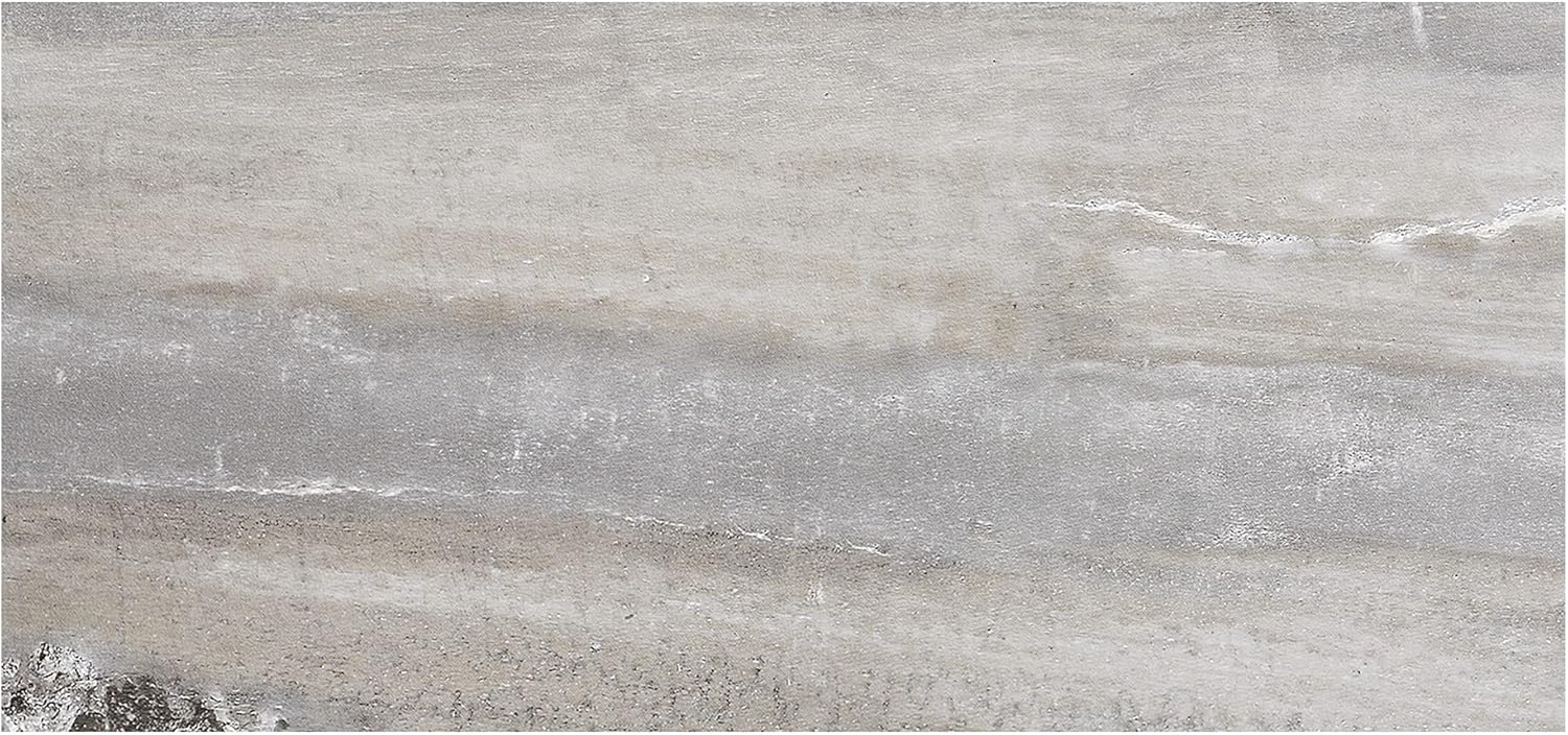 23.2 in. x 11.1 in. Interlocking Vinyl Waterproof Wall Tiles (10 Pack) S4609