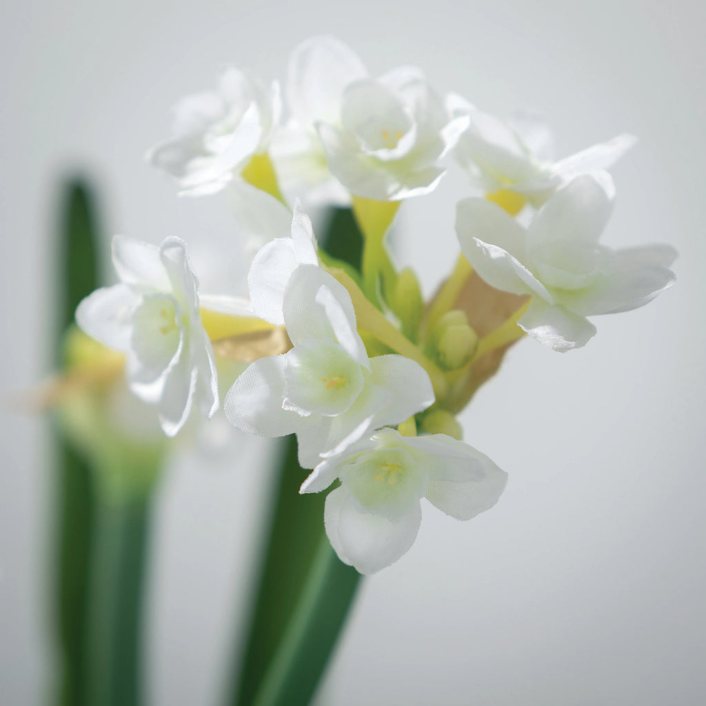Artificial Paperwhite Stem 20"H White X260