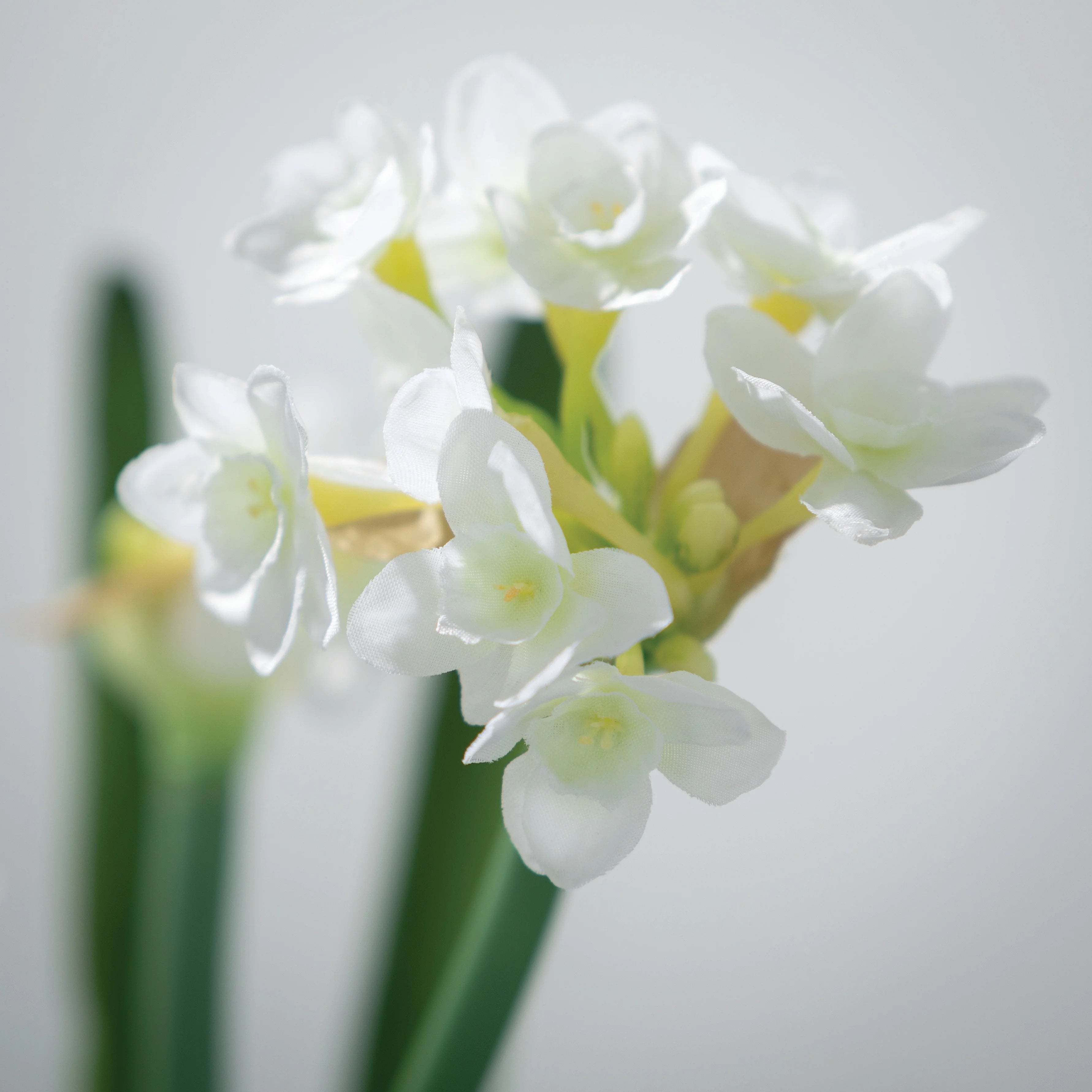 Artificial Paperwhite Stem 20"H White X260