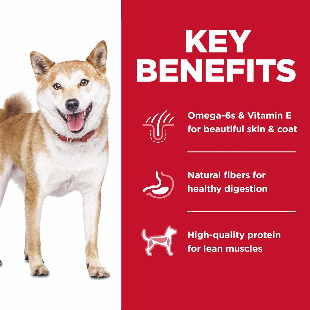 Adult Chicken Dry Dog Food B637