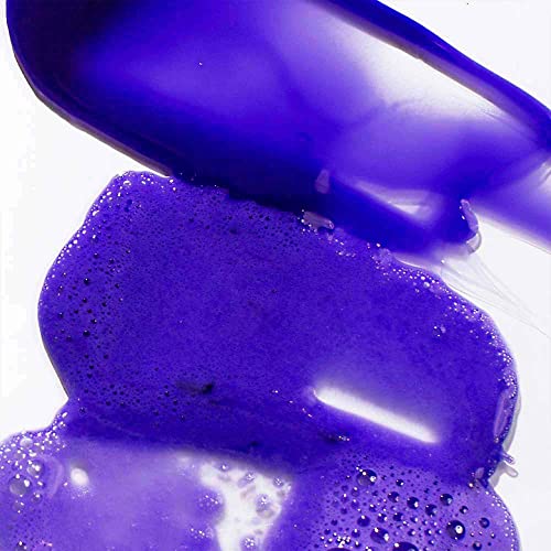 Sulfate-Free Vegan Purple Shampoo and Conditioner Set Y9308