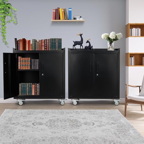 2 Door Lockable Metal Rolling Tool Cabinet with Adjustable Shelves K855