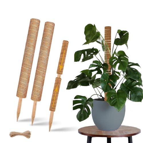 2 Pack 17 Inch Coir Plant Support Stakes K102286