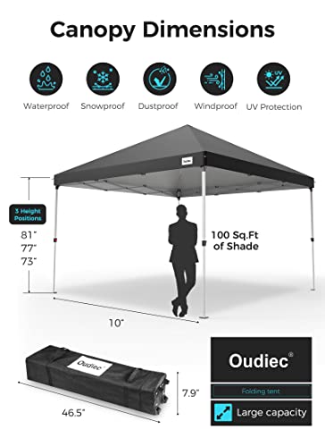 Black 10x10 Ft Pop up Canopy Tent with Window and Removable Sidewall B530