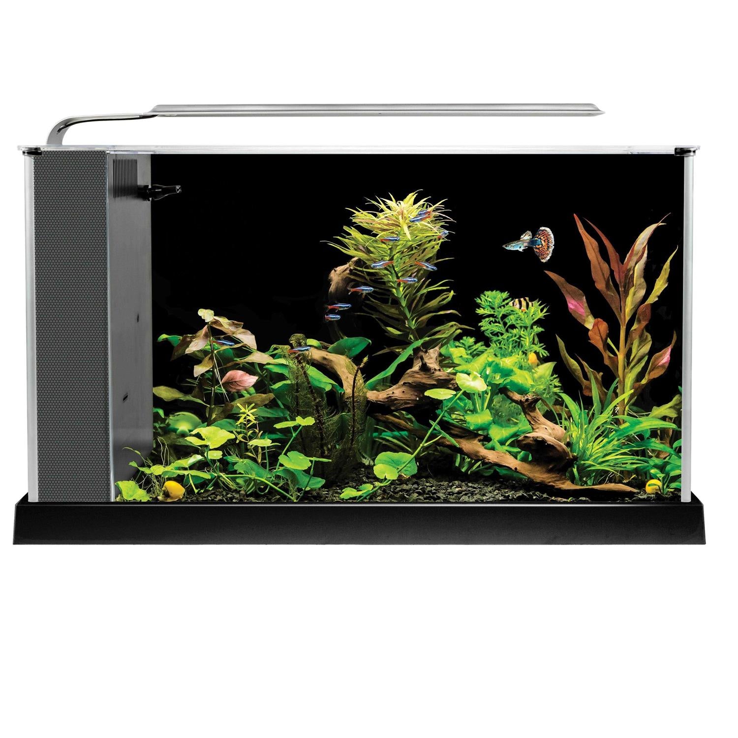 Spec V Aquarium N783251