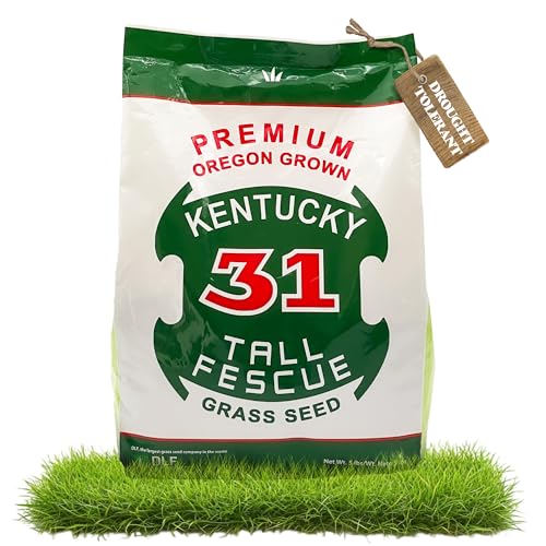 Kentucky 31 Tall Fescue Grass Seed 5 lb Bag P489