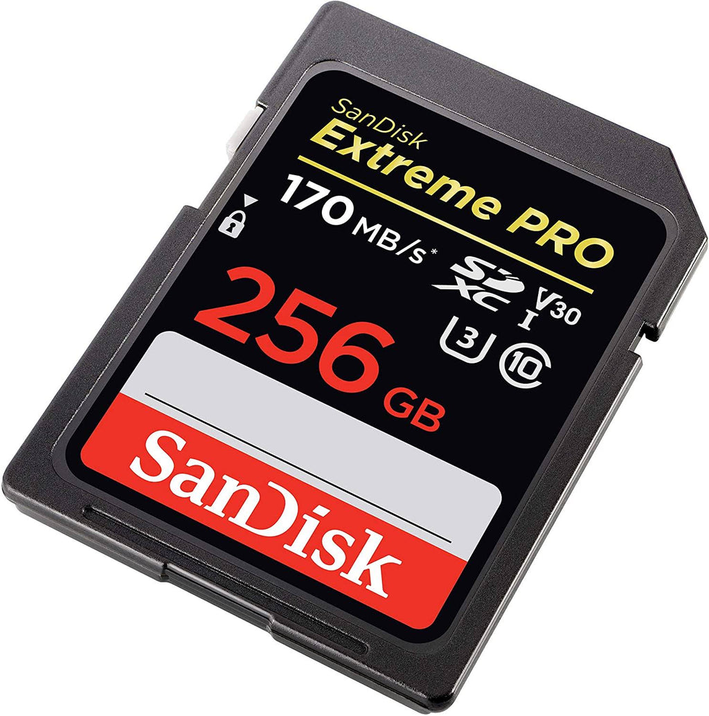 256gb SDXC UHS-I Memory Card Z9886