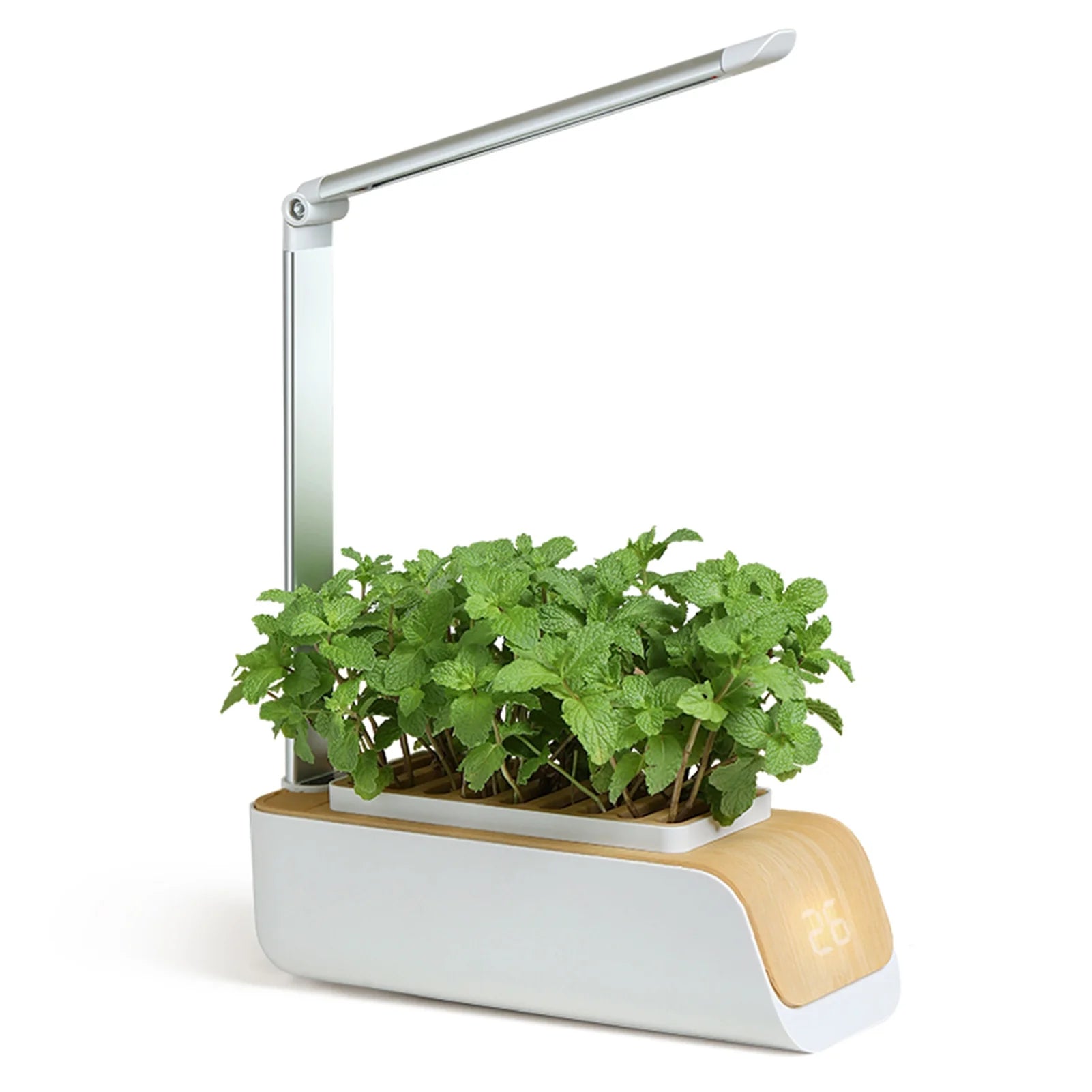 Indoor Herb Garden Kit with Grow Light K489499